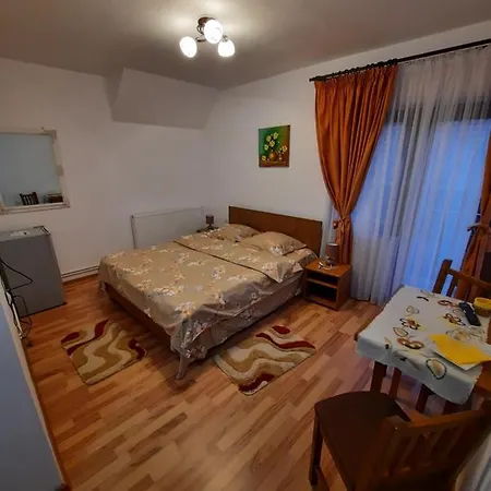 Pensiunea Maria-elena * Ponoarele (Mehedinti)