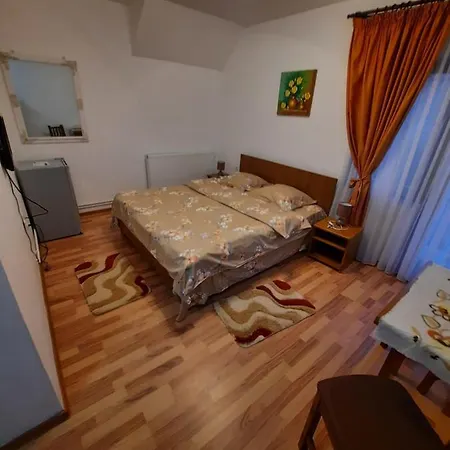 Pensiunea Maria-elena
