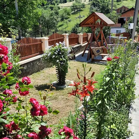 Pensiunea Maria-elena * Ponoarele (Mehedinti)